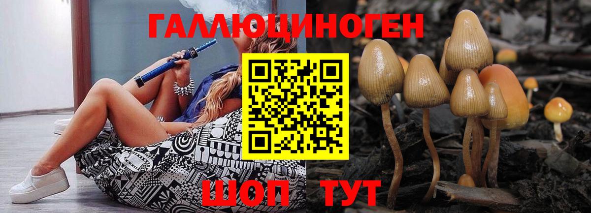 Галлюциногенные грибы Psilocybe  Вход с VPN  Серов 